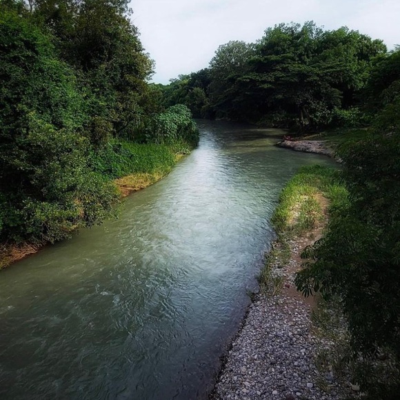 Meet your Posher, Evelyn - Picture 2 of 3